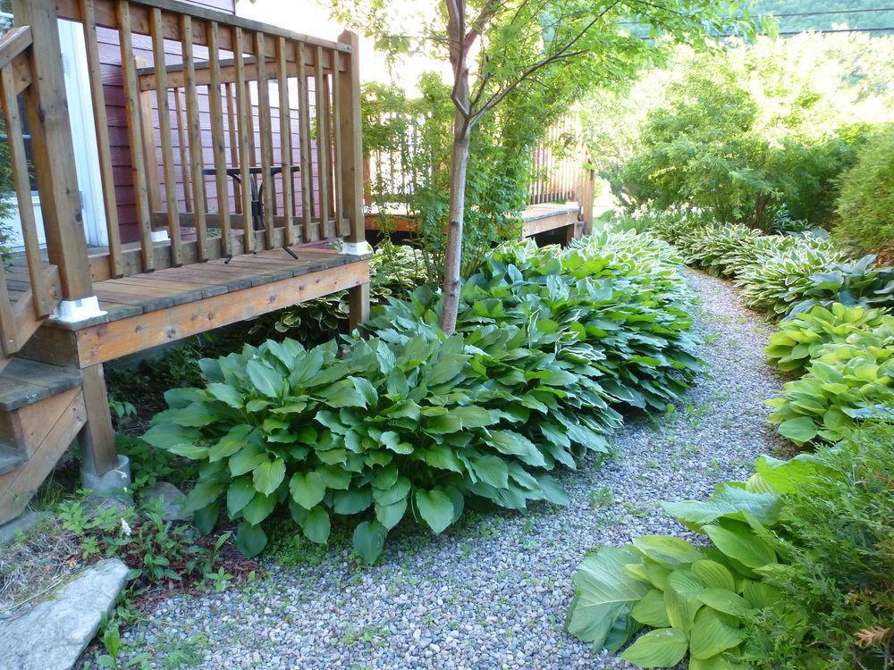 B&B Les Deux Pignons Petit-Saguenay Exterior photo